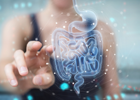 Alzheimer e problemi intestinali: il ruolo del Microbiota